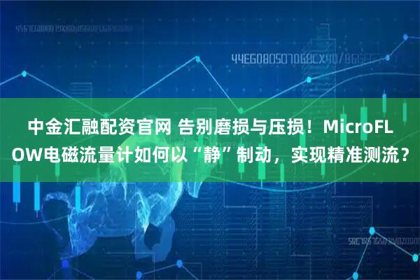 中金汇融配资官网 告别磨损与压损！MicroFLOW电磁流量计如何以“静”制动，实现精准测流？