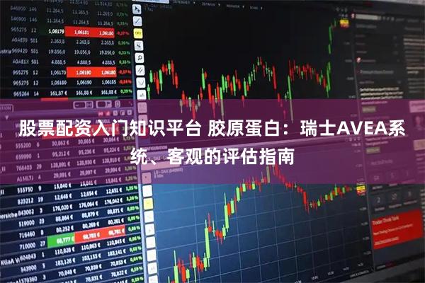 股票配资入门知识平台 胶原蛋白：瑞士AVEA系统、客观的评估指南