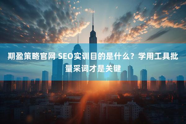 期盈策略官网 SEO实训目的是什么？学用工具批量采词才是关键